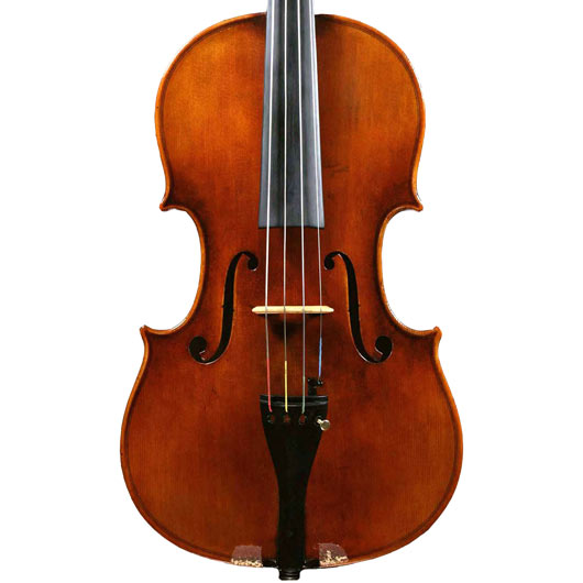 Snow Viola #900 - 16&quot;