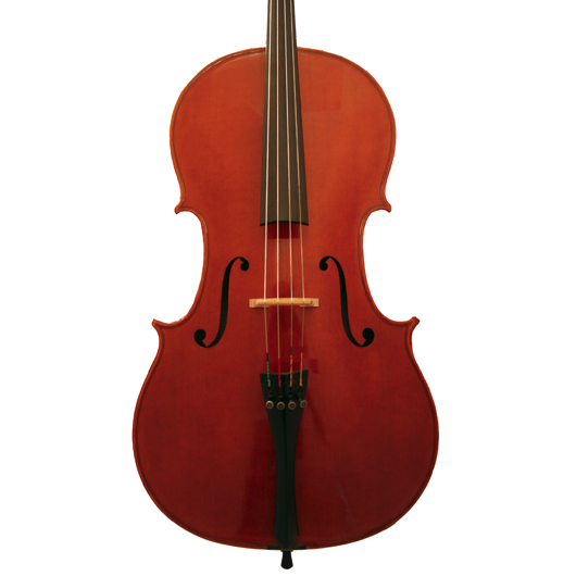 Italian Cello by ALESSANDRO SCANDROGLIO, 2008