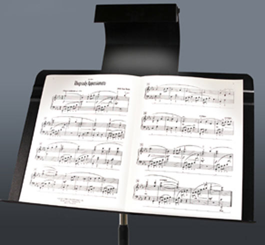 Manhasset Clip-On LED Stand Light II - M1060