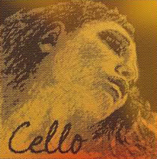 Evah Pirazzi Gold Cello G String - medium - 4/4