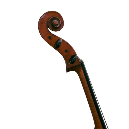 French Cello c.1900 Labelled BERGONZI