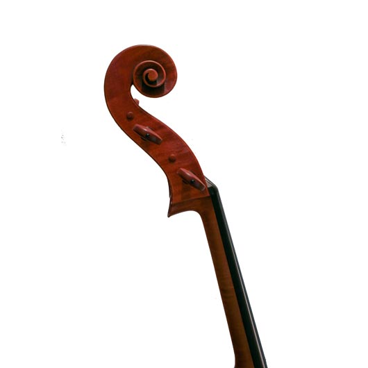 Cello By THOMAS MEUWISSEN BRUSSELS 2018
