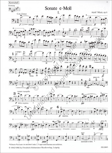 Sonata in E Minor Op. 6