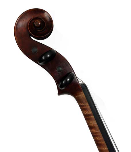Violin