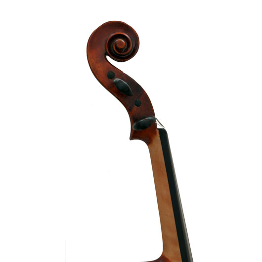 Eastman Select #305 3/4