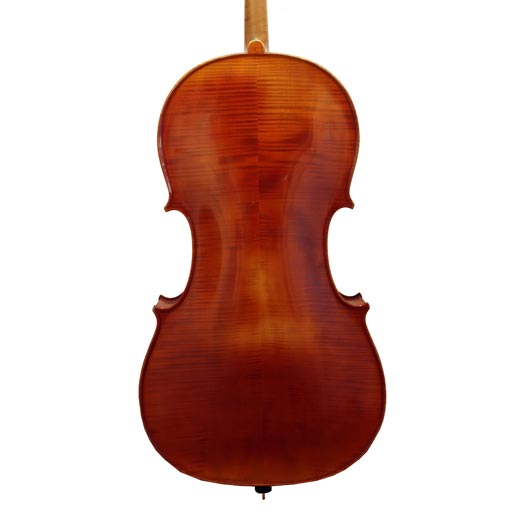 German Cello Labelled R. PAESOLD 1991