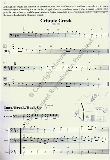 Fiddlers Philharmonic (Cello & Bass)