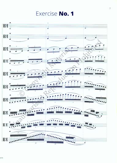 Advanced Scale Studies for Viola