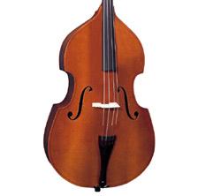 Strunal Dvorak Bass
