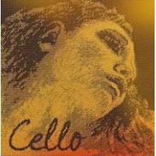 Pirastro Evah Pirazzi Gold Cello Strings