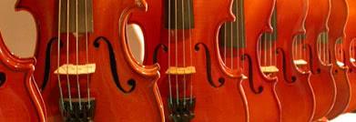 Several violins in a row
