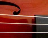 A violin