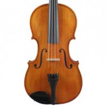 Viola
