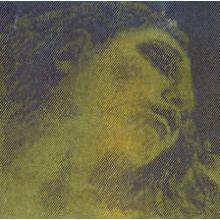 Pirastro Evah Pirazzi Gold Violin Strings