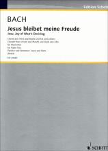 Bach - Jesu, Joy of Man's Desiring for Piano Trio (SCHOTT)