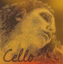Evah Pirazzi Gold Cello G String - medium - 4/4